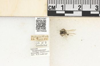 Media type: image;   Entomology 770436 Aspect: Labels